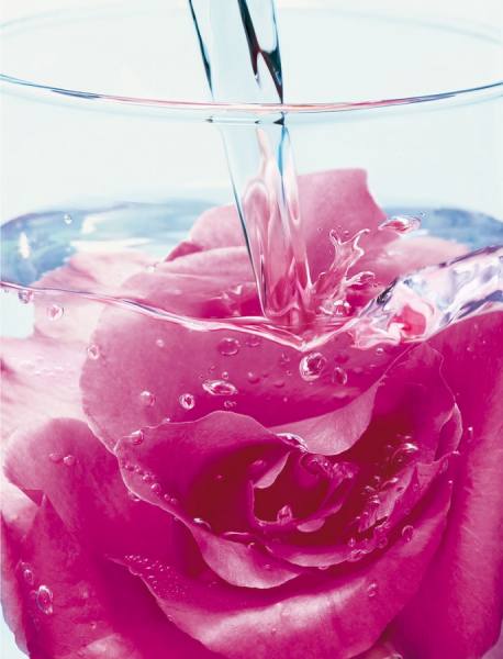 Photograph Isabelle Bonjean Lancome on One Eyeland